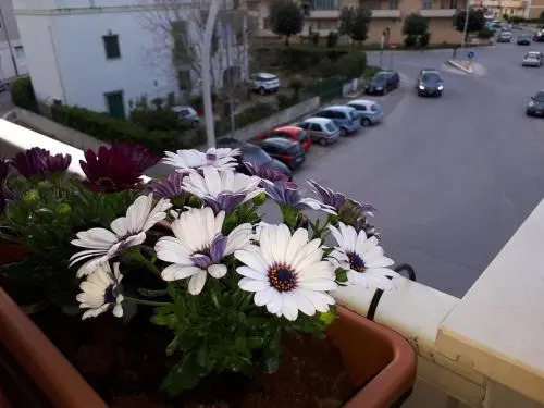 Rizzi Marianna B&B