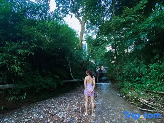 MoonlitNooksMistyNicheMildNook home stay facility (qingcheng mountain scenic area stores)