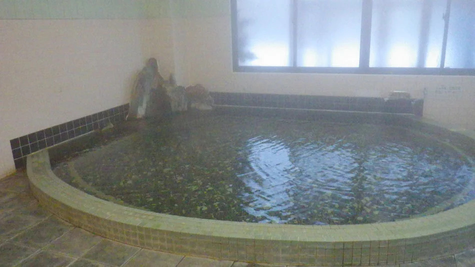 Nagaoka Kamaburo Onsen Ryokan