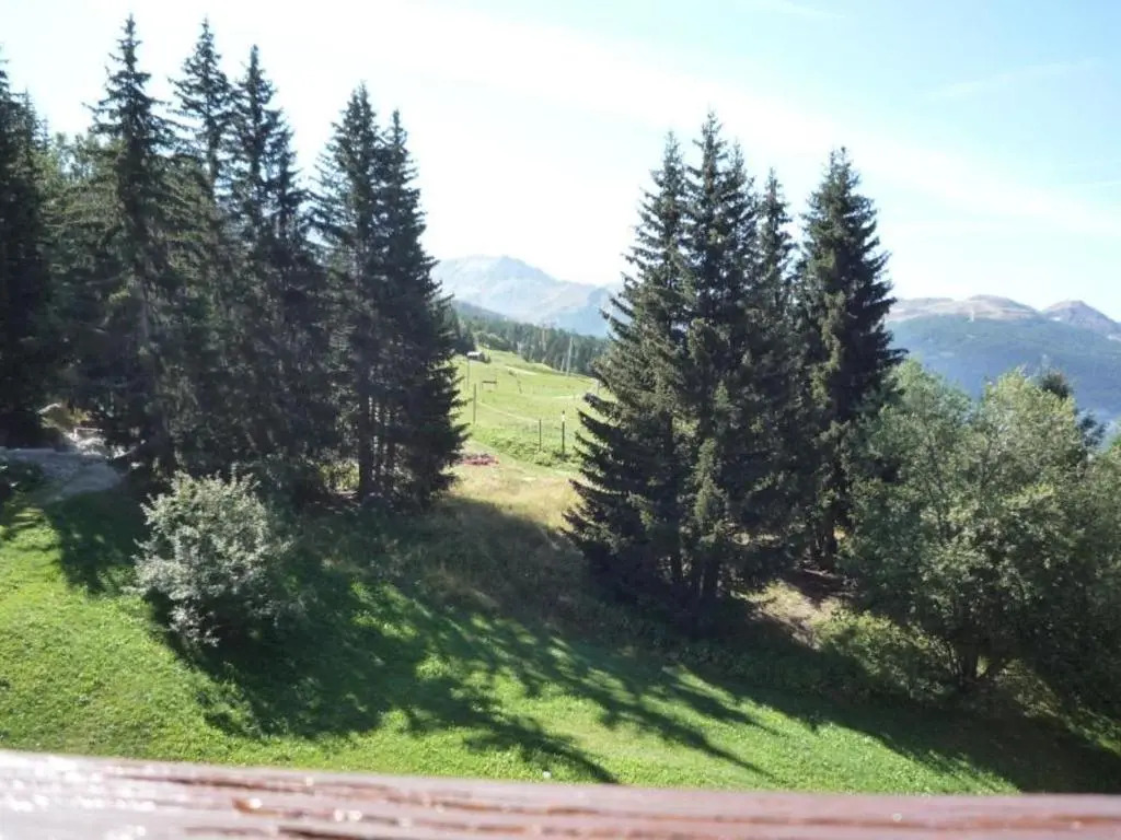 Appartement Les Arcs 1800, 1 pièce, 5 personnes - FR-1-411-202