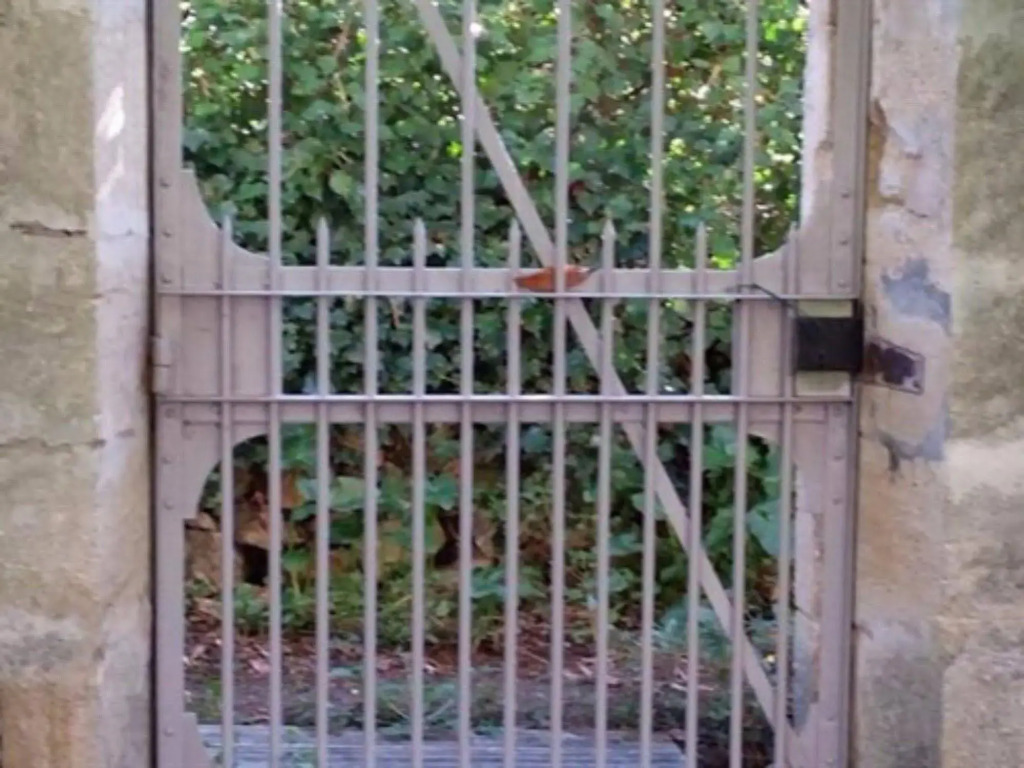 La villa des figuiers