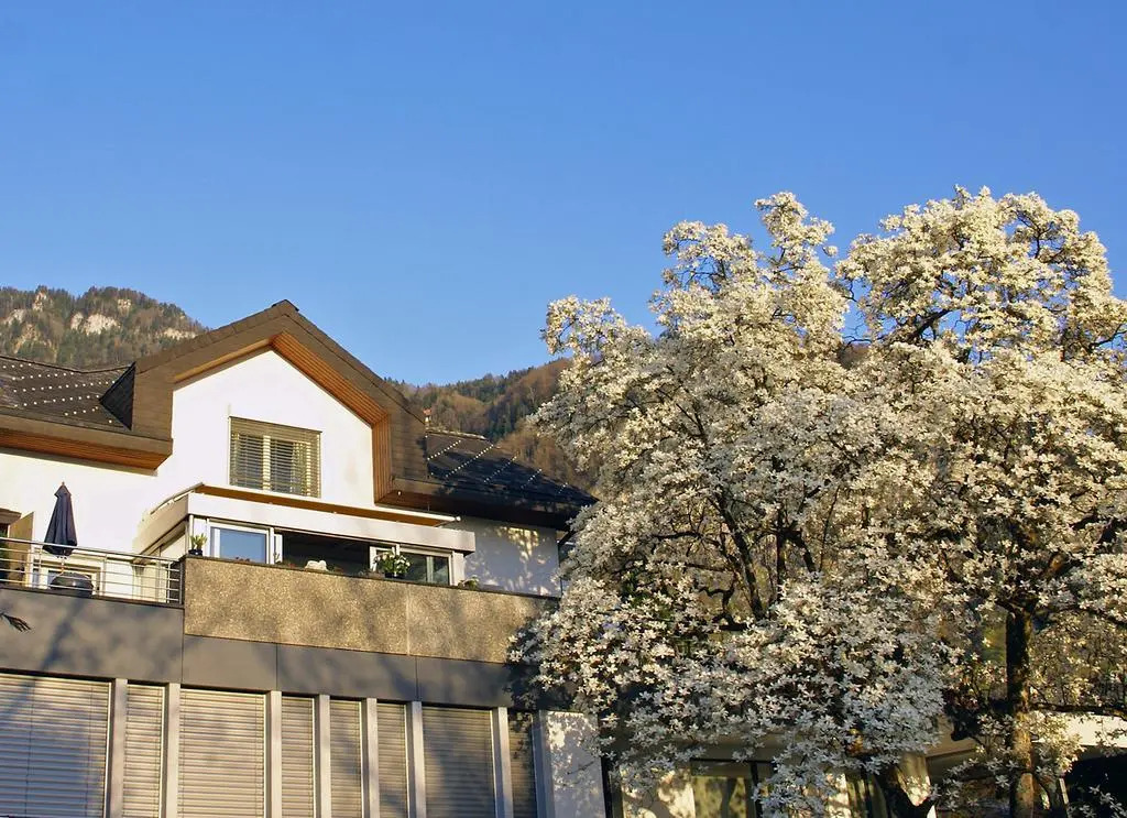 Chateau Schüpbach