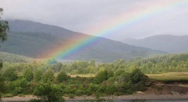 Garadh Buidhe