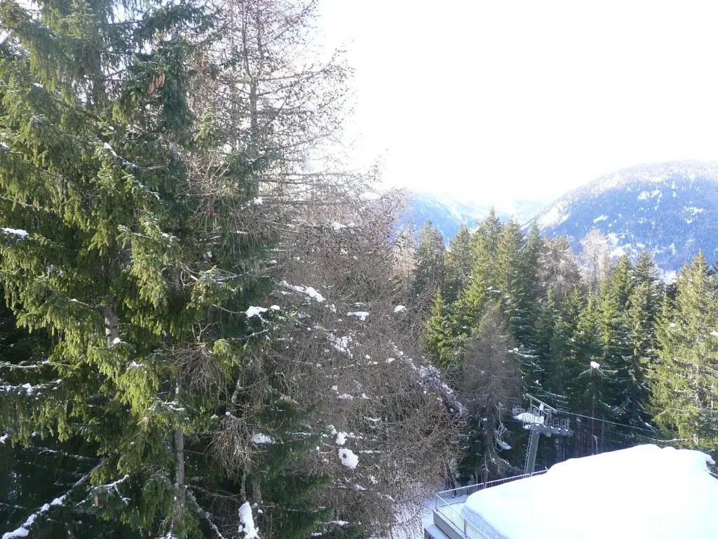 Sole Alto Appartamenti Montana