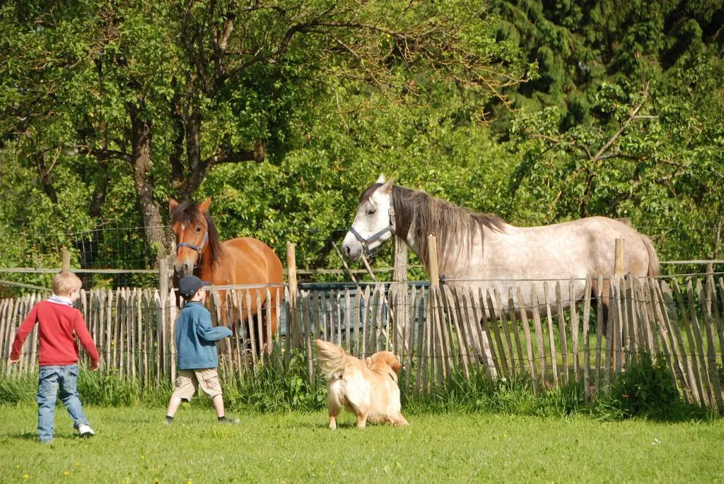 Les Trois Voisins