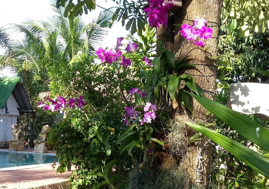 Penny's Home Stay Resort