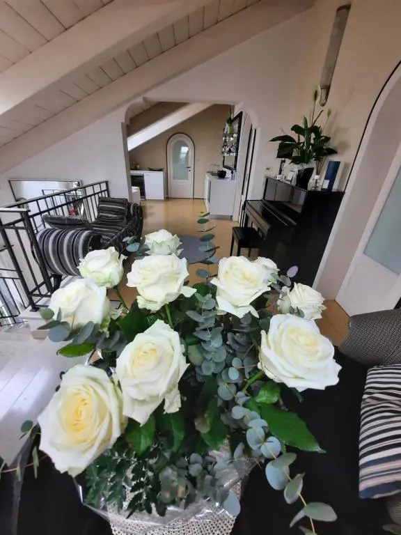 Terraglio Rooms