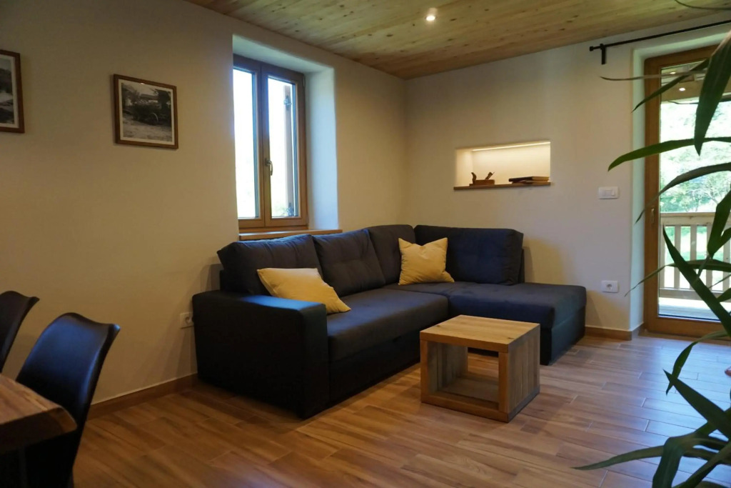 ecoHouse FURLAN - Apartment PINJA