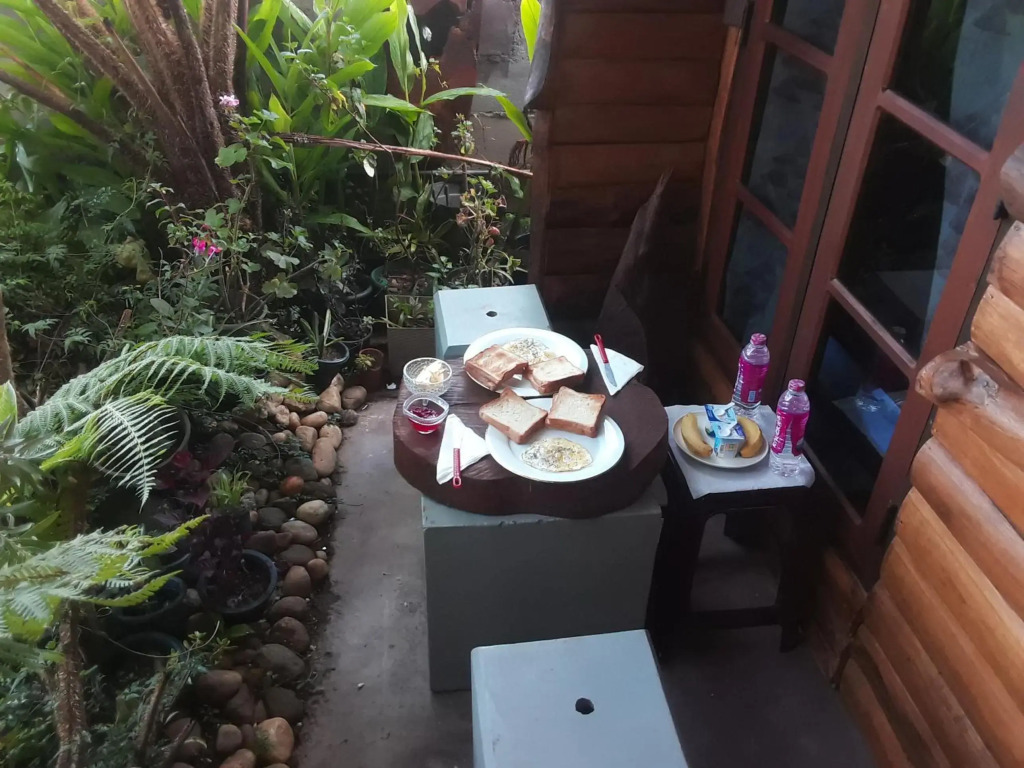 20/20 wood cabana