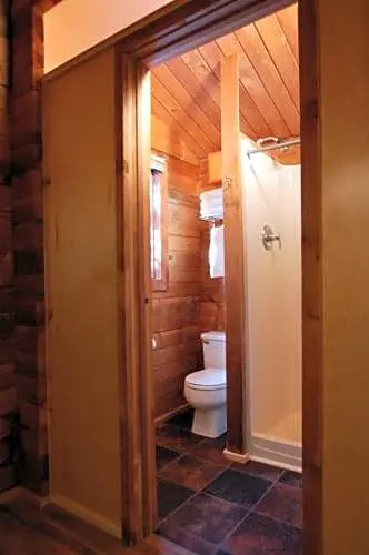 Denali Cabins