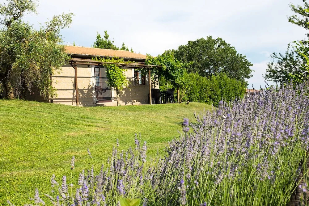 Il Poggio DellArtilla
