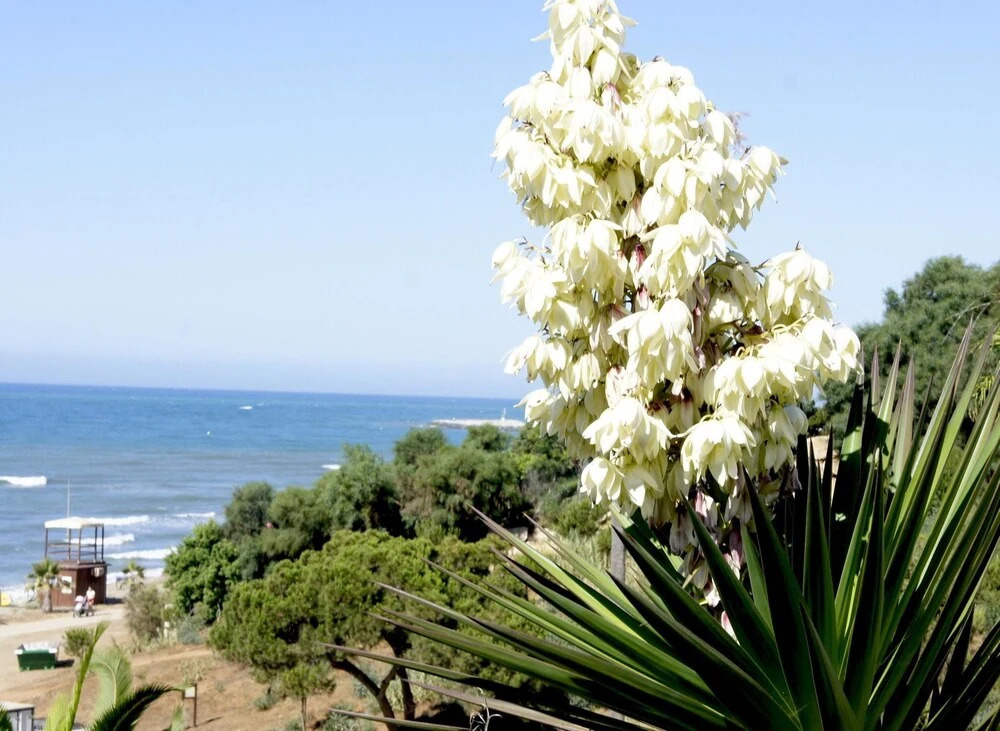 Apartment With one Bedroom in Calahonda, With Wonderful sea View, Pool Access and Wifi - 100 m From the Beach