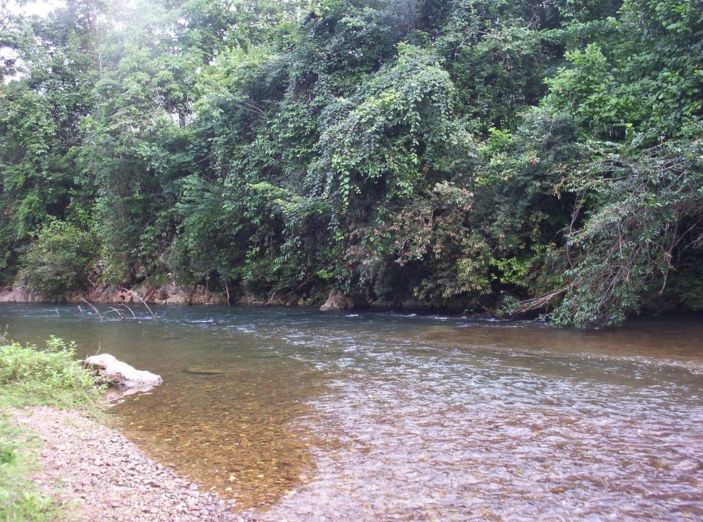 Roaring River Golf & Accommodations