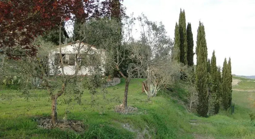 Il pollice verde