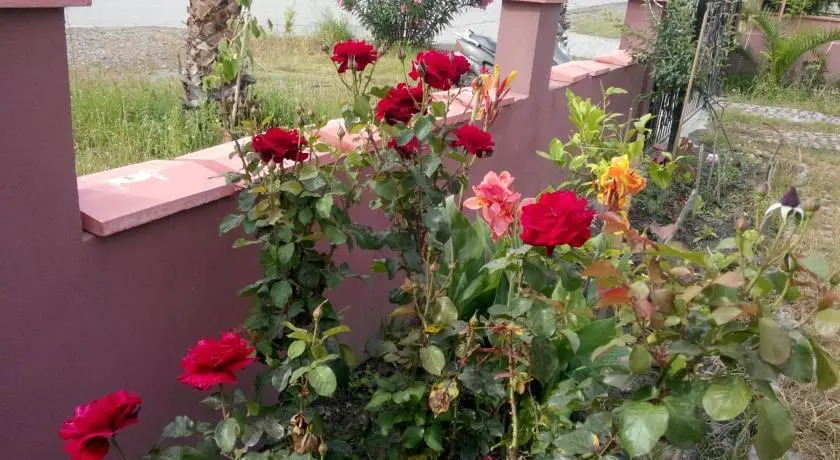 Villa Balım