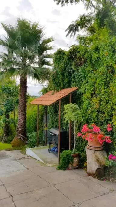 Casa de Orquídeas, muy cercana a Africam Safari
