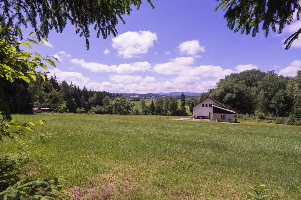 Baumzelt im Wald
