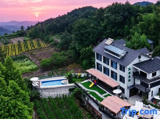 Tea  · Xingzhi Mountain Resort Homestay