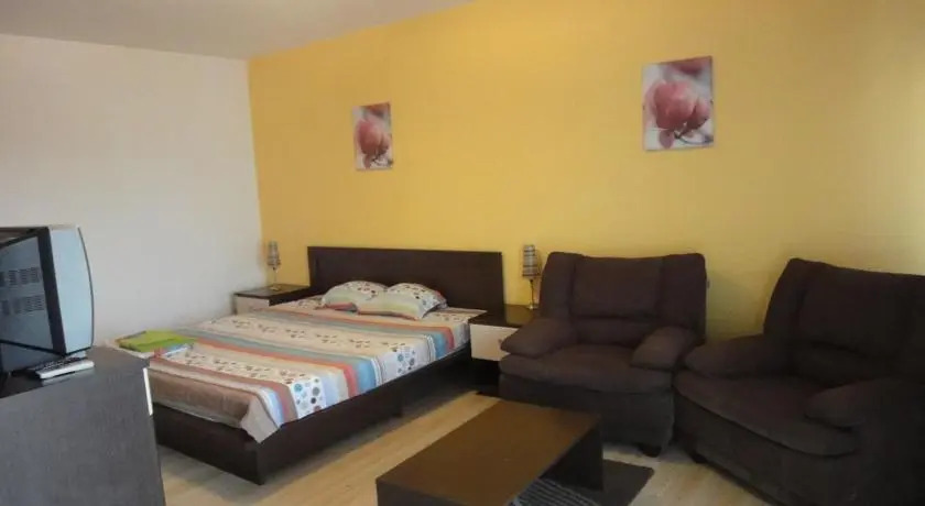 Confort Accommodation Apartments - 13 Septembrie