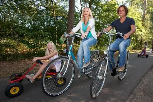 Roompot Bospark Lunsbergen