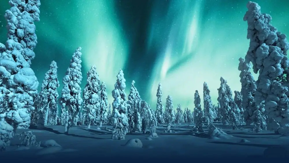 Santas City Apartments