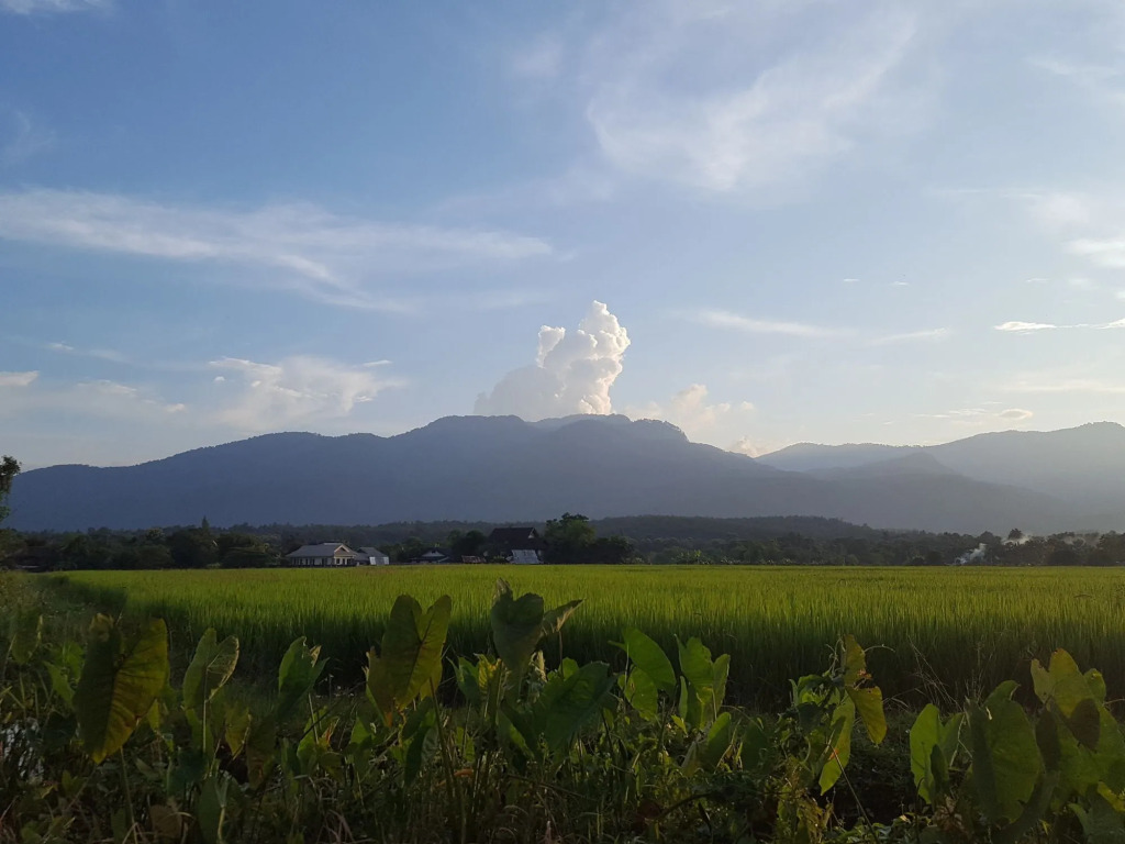 Camp Story Chiangmai