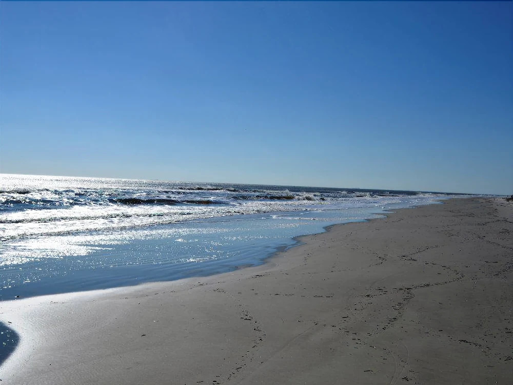 Palmetto Dunes by Beach Properties