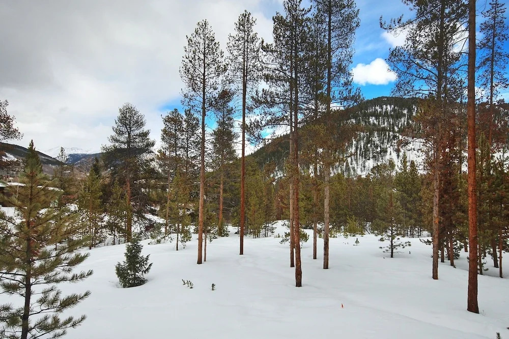 2062 The Pines 2 Bedroom Condo by RedAwning