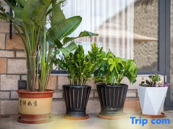 Mishe · MISH · Scenic Vacation Homestay