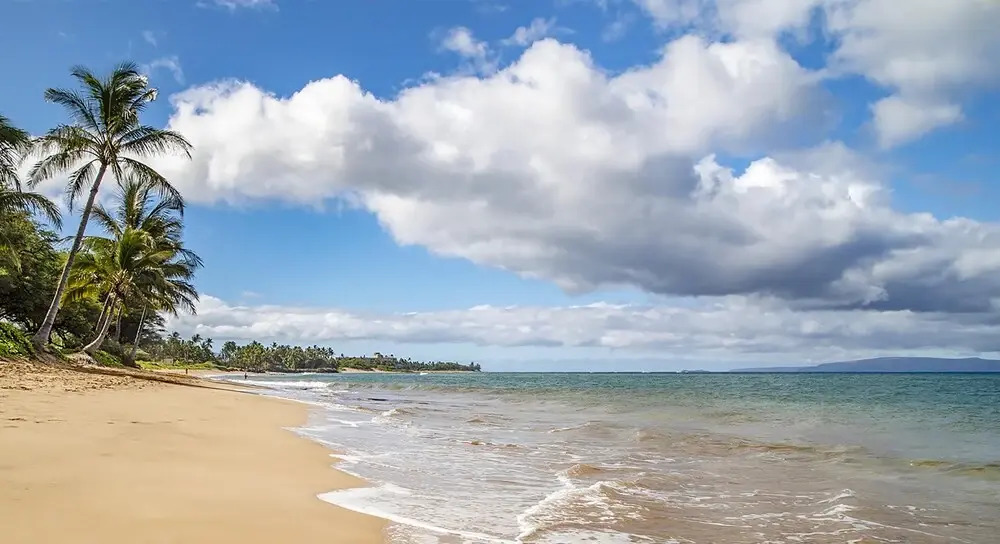 Kihei Garden Estates B-103 - Modern Design, Bright & Clean, Concrete Floors, AC!