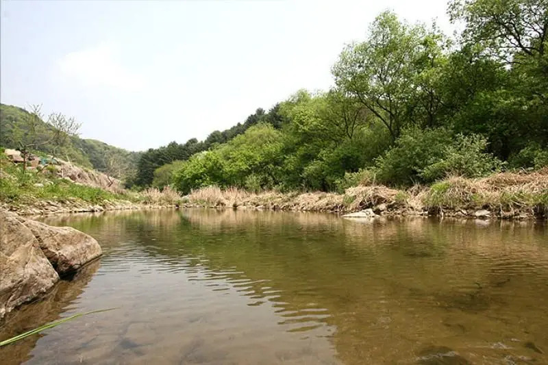 Pocheon Neulpureun Pension