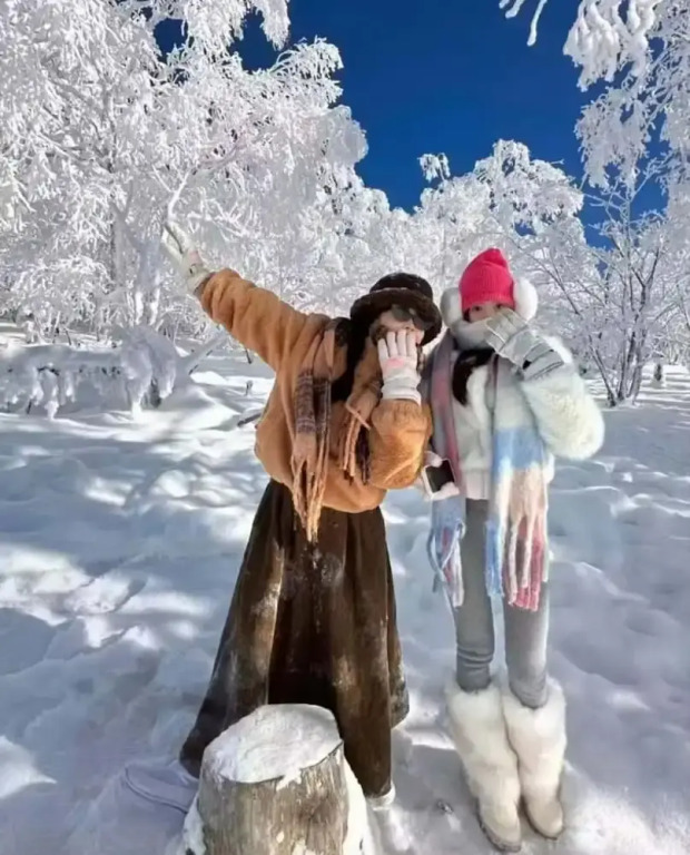 Snow house