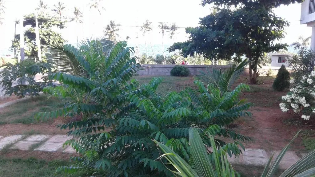 Masha Beach Inn