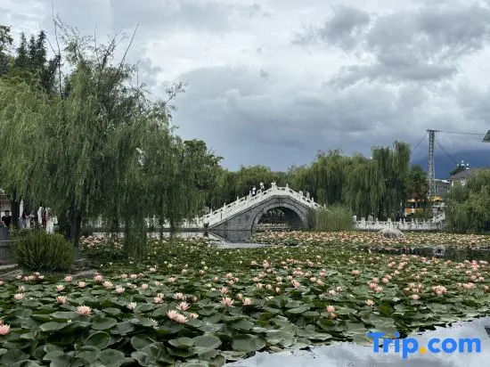 Youran▪Garden light luxury log designer parent-child holiday accommodation (Dali Xizhou store)