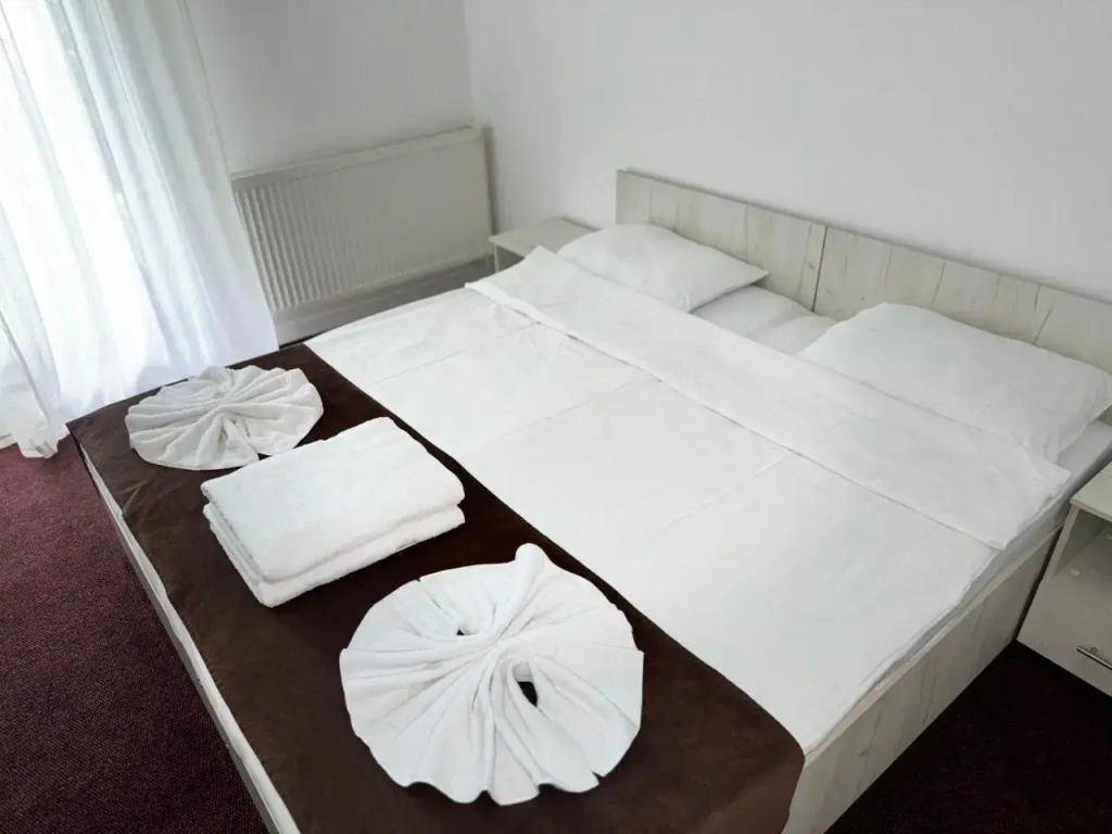 TreeZ Hostel
