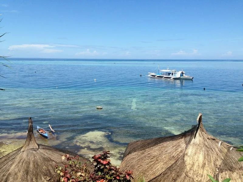 Dive Point Alcoy