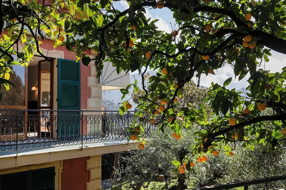 Seaview Apartment with Garden in Recco