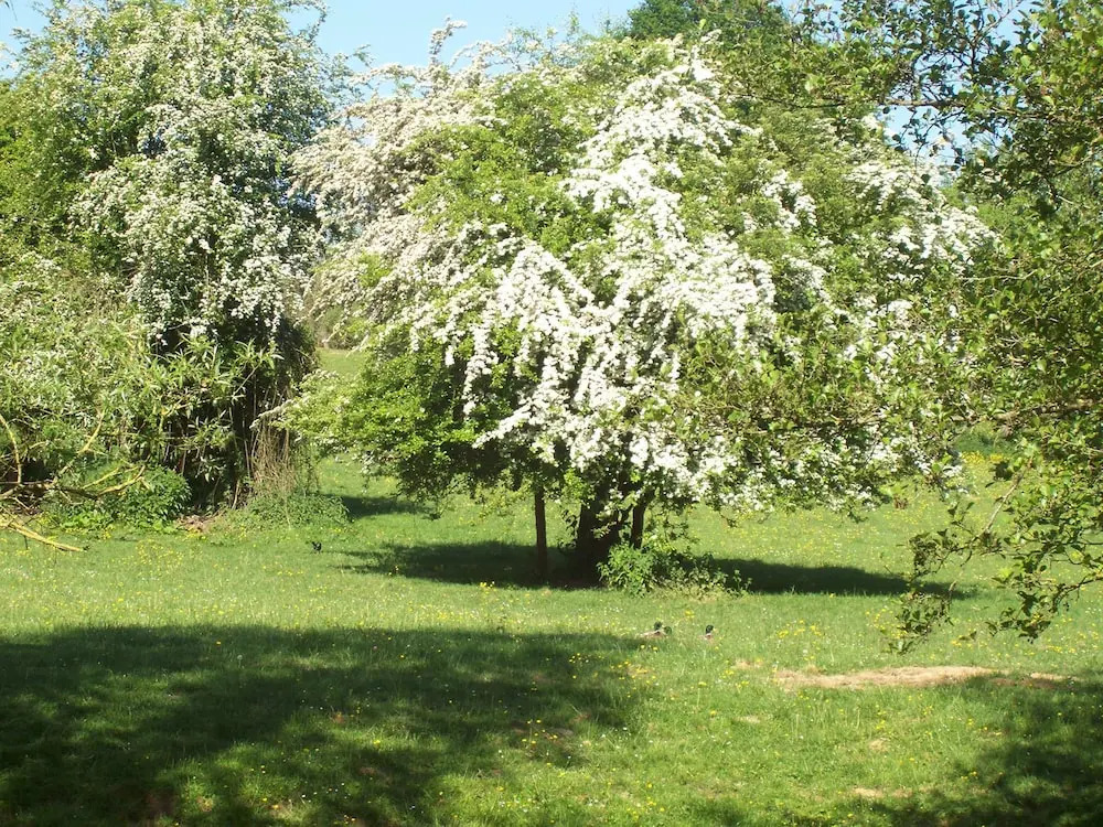 Gîte La Blonde