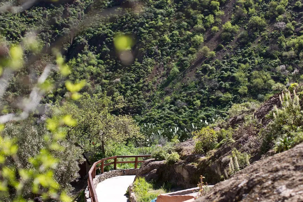 Casas rurales de Guayadeque