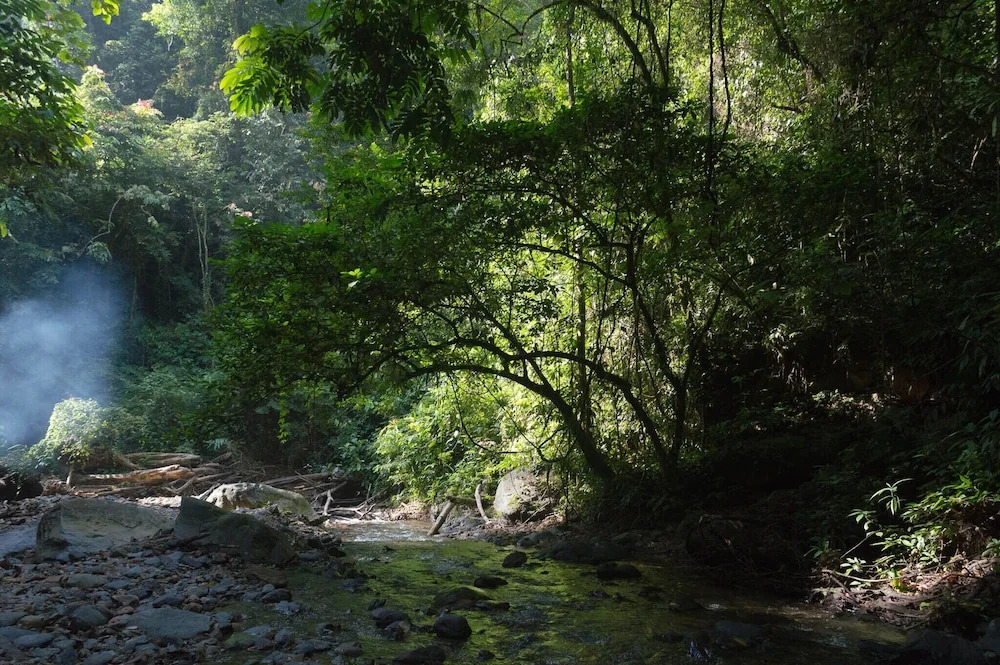 Room in Lodge - Holiday Rental in Sumatra