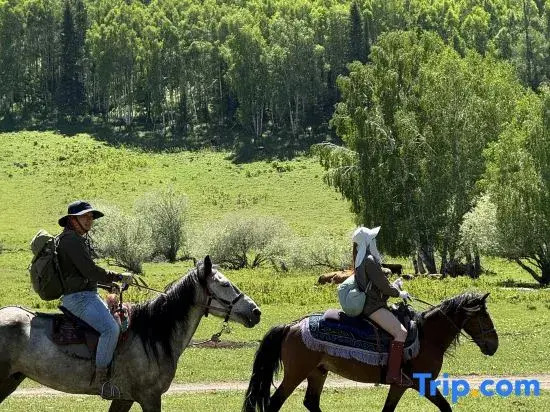 Hemu Youyuan Chalet Forest B&B