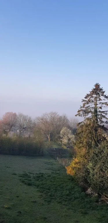 The Horse Stables