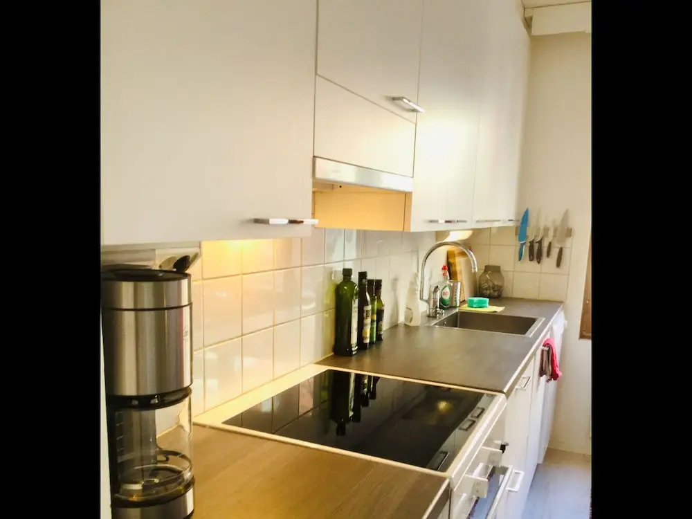 Large artsy apartment in Pasila