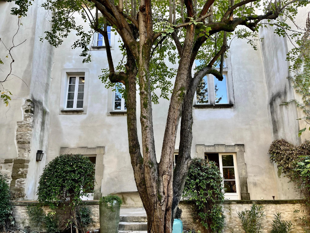 Le Clos Violette et Le 11 DAglaé - Appart Hôtel de Charme Design de Luxe