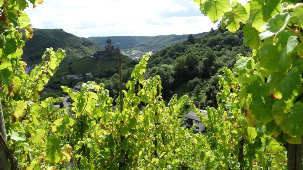Talblick