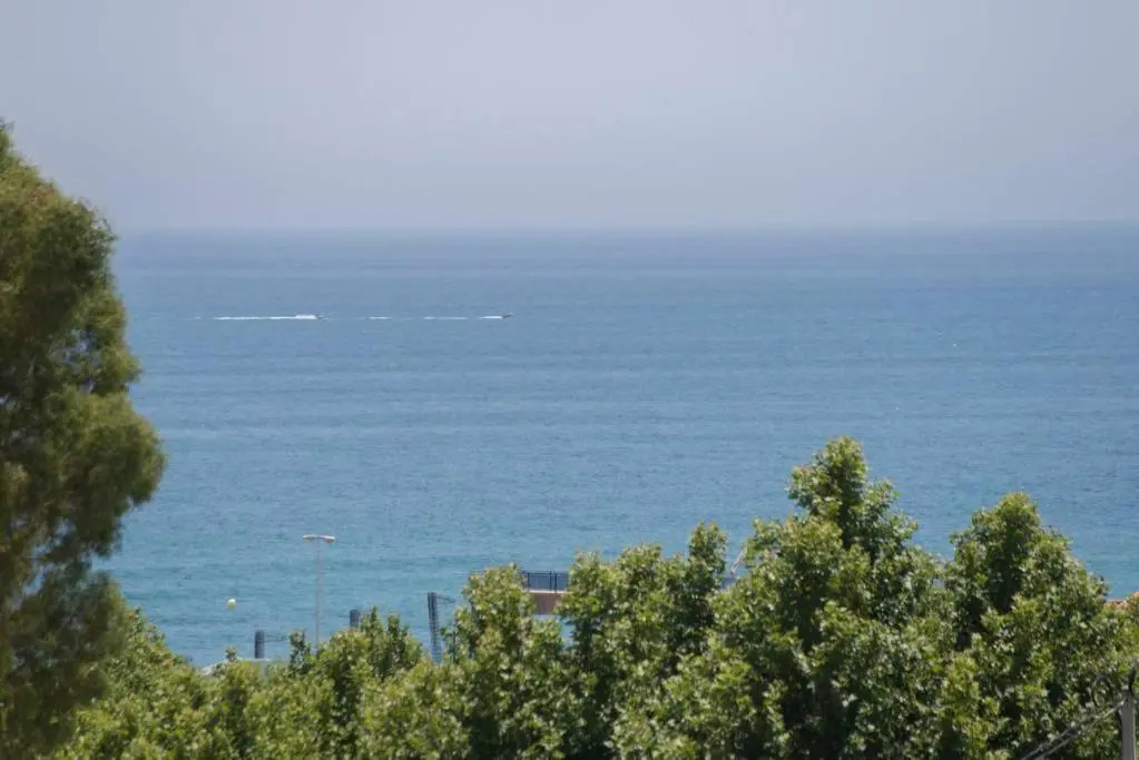 Bravo 23
