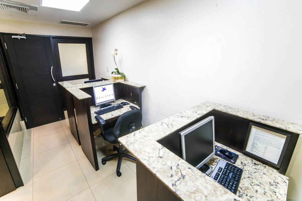 The Jamaica Pegasus Hotel