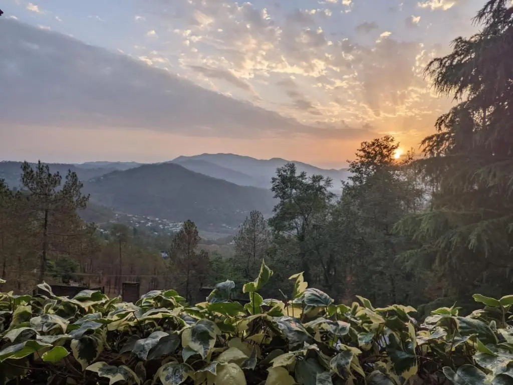Green garden homestay
