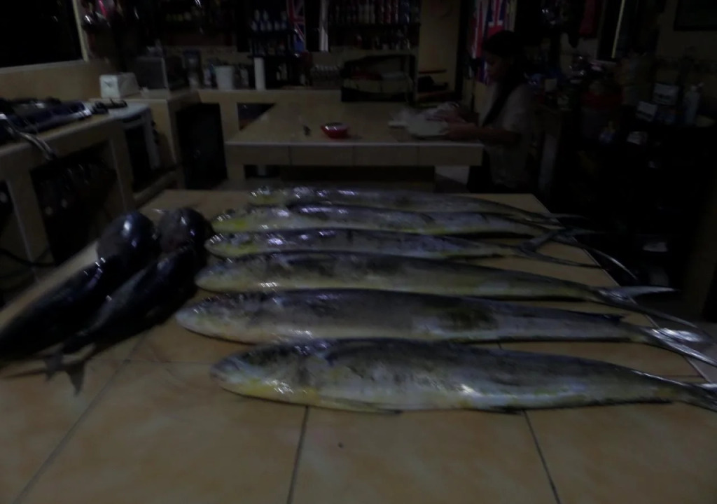 Sailfish Bay Surf & Big Game Fishing Lodge
