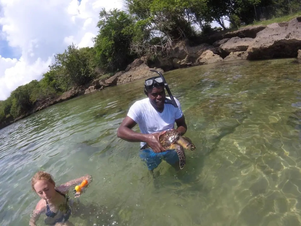 Angel Fish Cove